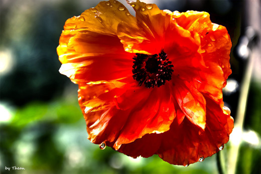 628075 (a): :2560x1707